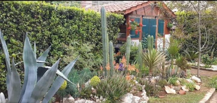 Cactus House Gaspar 자다르 외부 사진