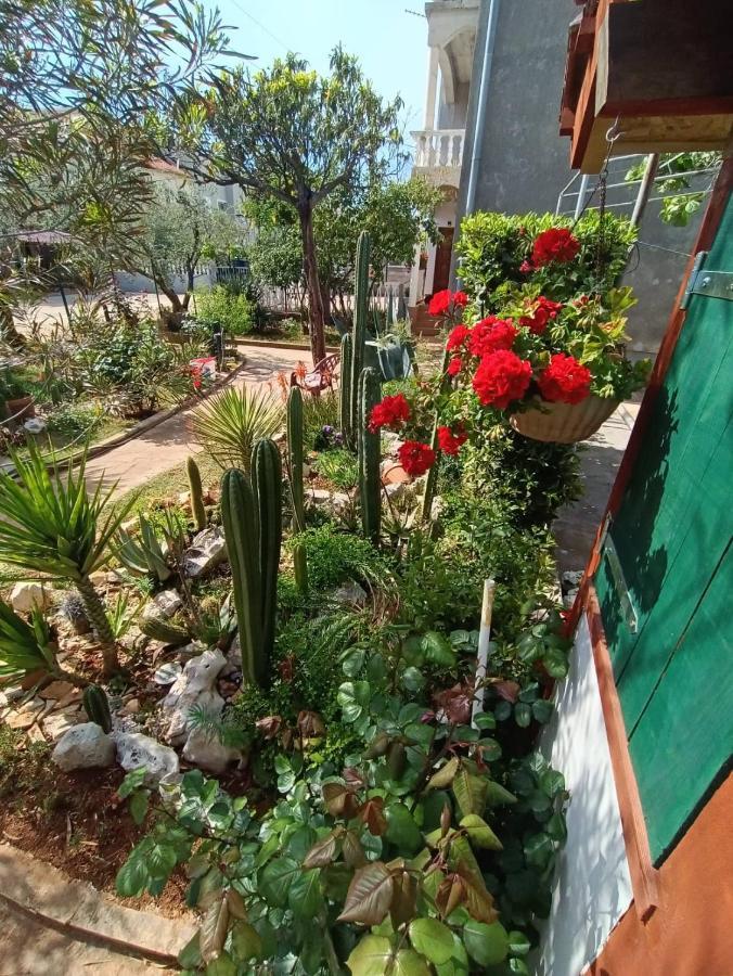 Cactus House Gaspar 자다르 외부 사진