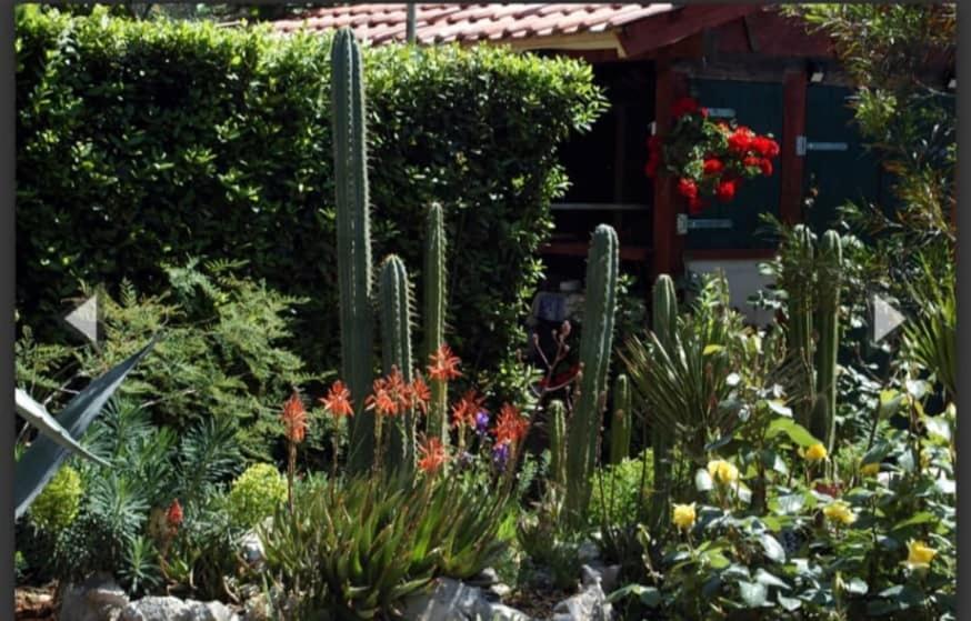 Cactus House Gaspar 자다르 외부 사진
